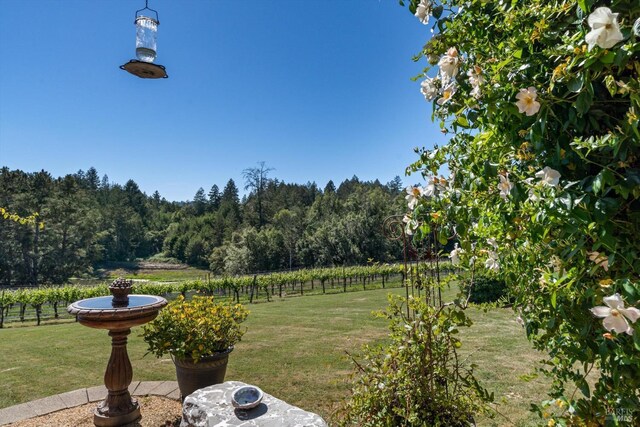 4630 Maddocks Rd, Sebastopol, CA 95472 - view of yard featuring a wooded view
