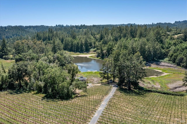 4630 Maddocks Rd, Sebastopol, CA 95472 - aerial view of sparsely populated area featuring a large body of water and a forest