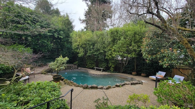 view of pool featuring a fenced backyard, a fenced in pool, and a patio