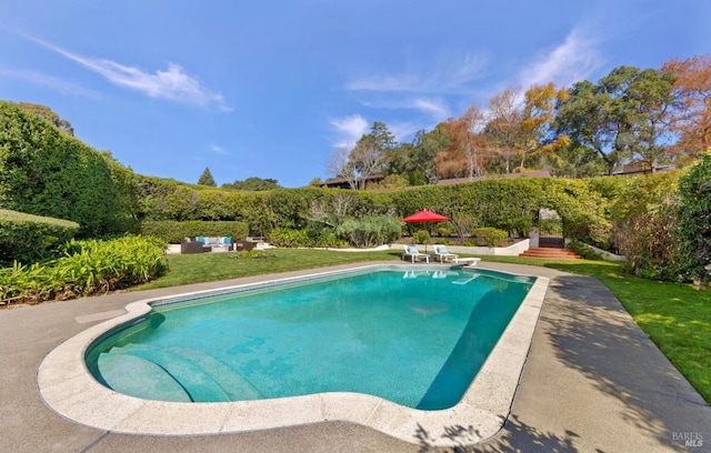 pool with a patio area, an outdoor living space, and a diving board