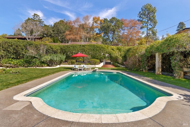 view of pool featuring a lawn