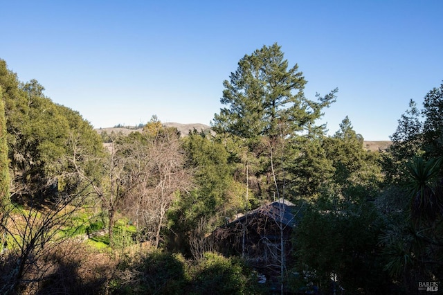 5 Madrone Ave, Woodacre, CA 94973 - view of local wilderness with a wooded view