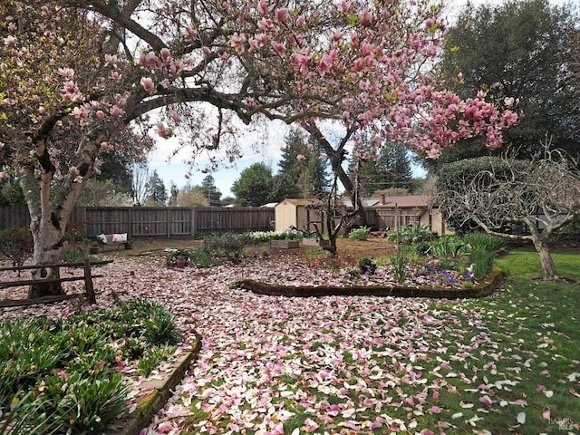 view of yard featuring an outdoor structure, a storage unit, and a fenced backyard