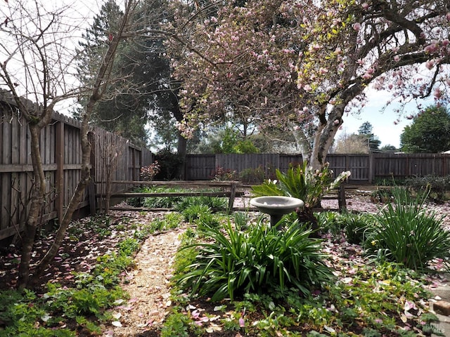 view of yard with a fenced backyard