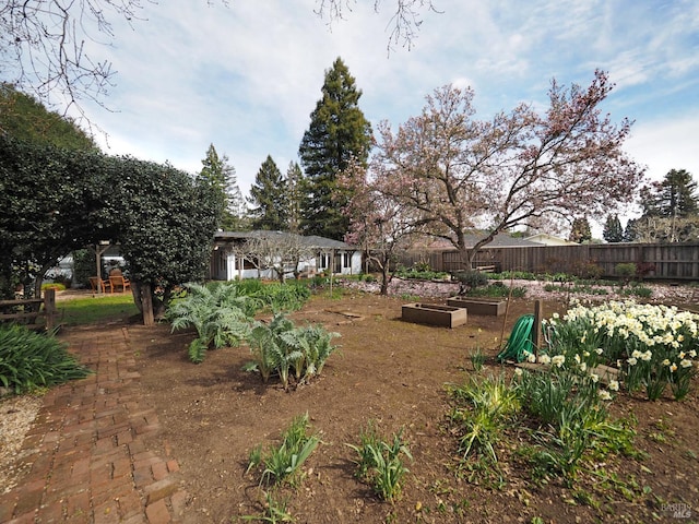 view of yard featuring a vegetable garden and fence