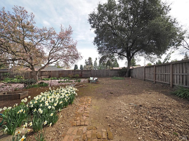 view of yard featuring a garden and a fenced backyard