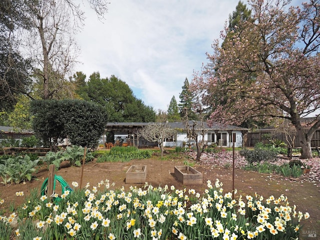 exterior space with a vegetable garden and fence