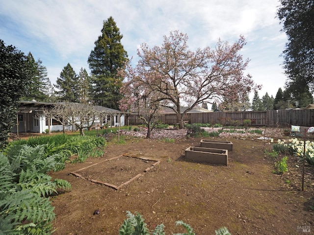 view of yard with a vegetable garden and fence private yard