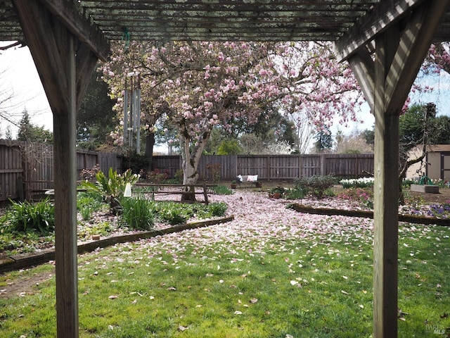 view of yard featuring a pergola and a fenced backyard