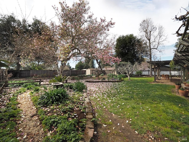 view of yard with a storage shed, an outdoor structure, and a fenced backyard