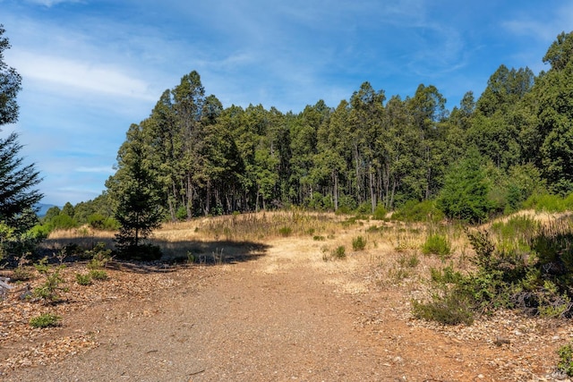 view of nature featuring a wooded view