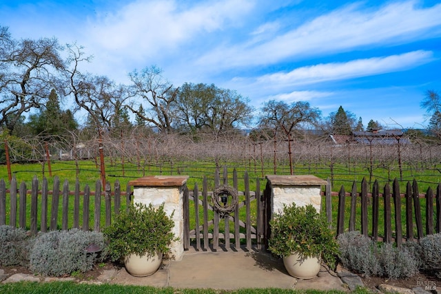 view of yard featuring a rural view, fence, and a gate