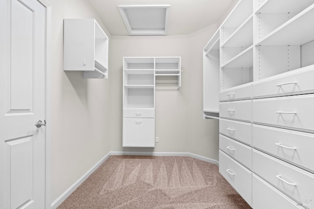 spacious closet with carpet flooring and attic access