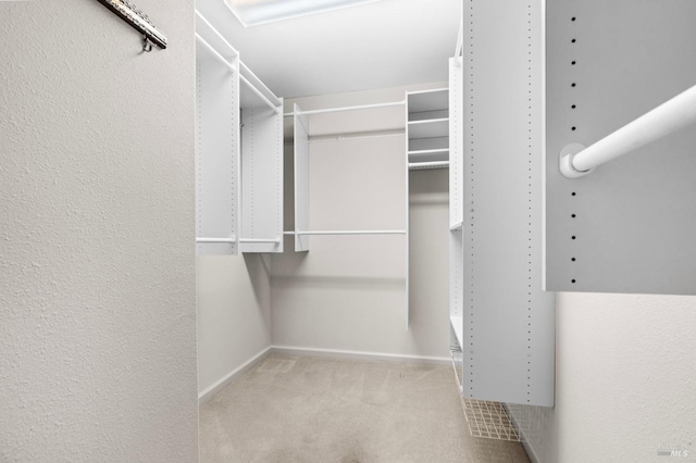 spacious closet with carpet