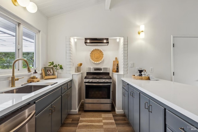 kitchen featuring lofted ceiling, dark wood-style flooring, a sink, light countertops, and appliances with stainless steel finishes