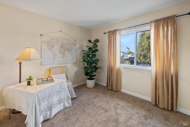 sitting room featuring a textured ceiling, carpet floors, and baseboards