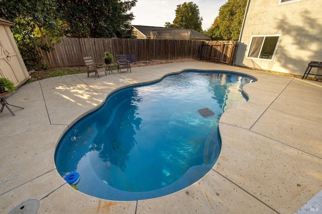 view of swimming pool featuring a fenced in pool, a patio area, and a fenced backyard