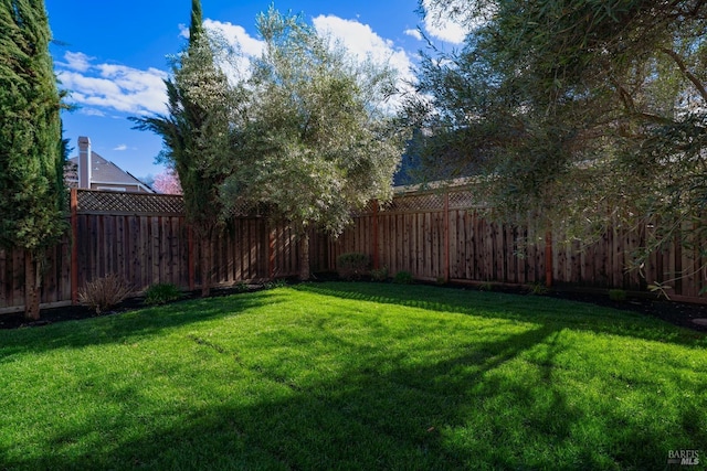 view of yard featuring a fenced backyard