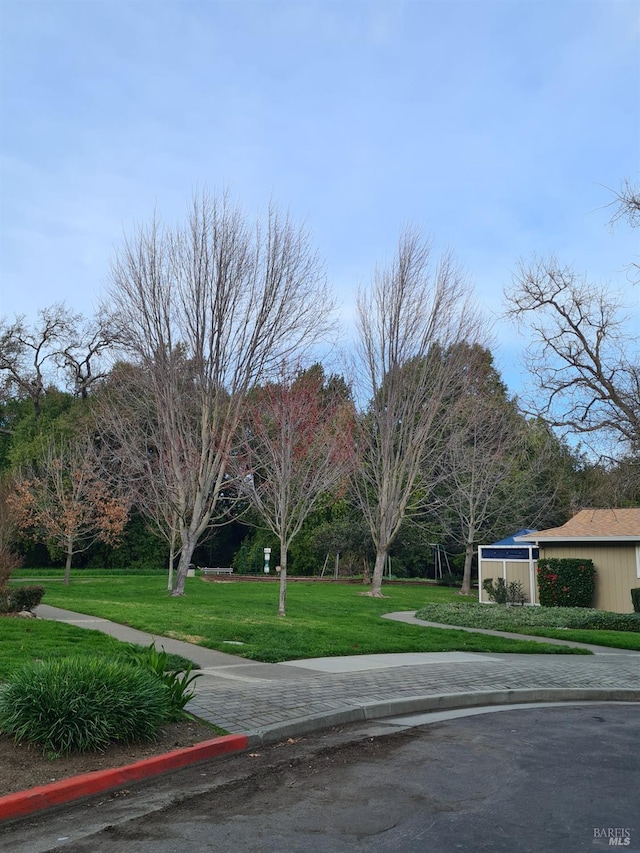 view of street with curbs and sidewalks