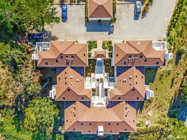 bird's eye view