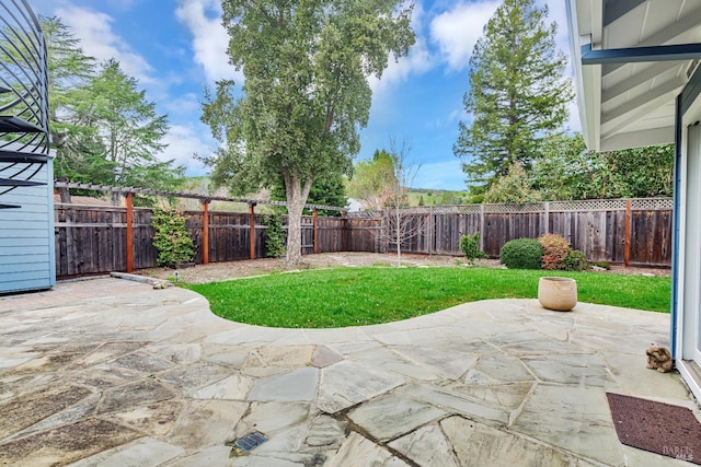 view of yard with a fenced backyard and a patio