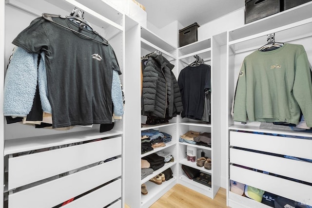 walk in closet featuring wood finished floors