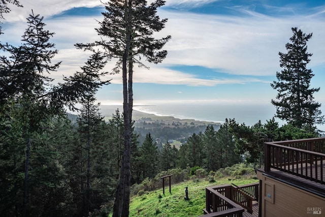 property view of mountains with a forest view