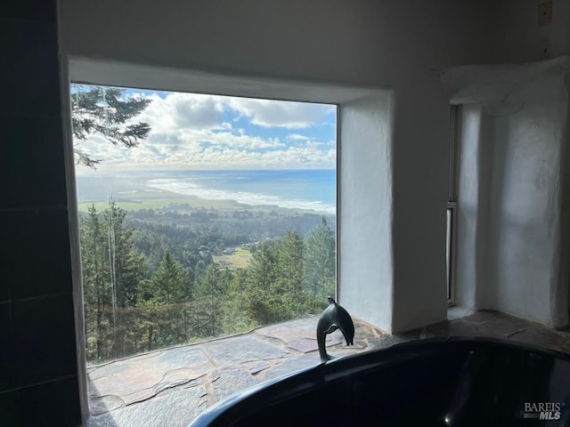 interior details with a water view and a sink