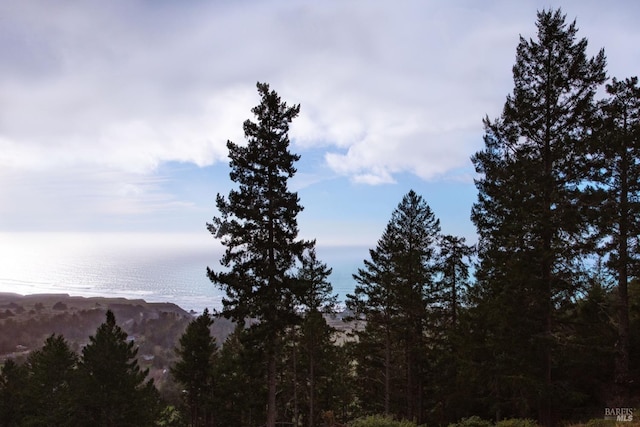 mountain view featuring a water view and a view of trees