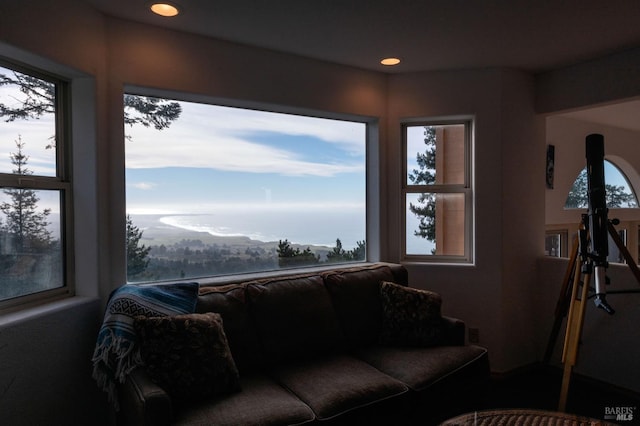 living area featuring a wealth of natural light and recessed lighting