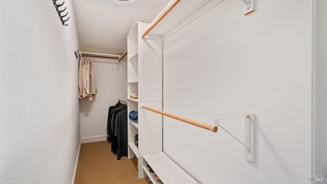 walk in closet featuring light colored carpet