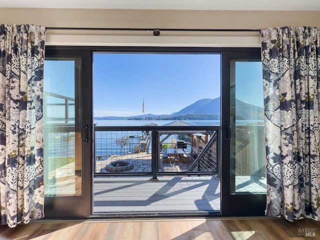 entryway featuring a mountain view and wood finished floors