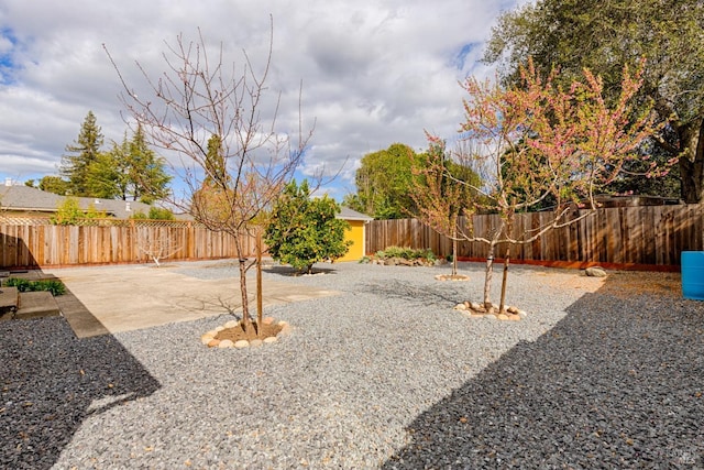 view of yard featuring a patio area, a fenced backyard, and an outdoor structure