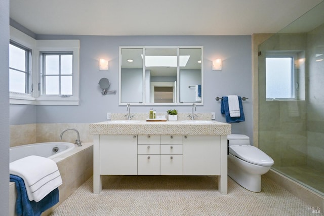 full bathroom featuring toilet, plenty of natural light, a sink, and a bath