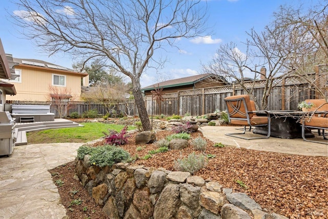 view of yard with a patio area and a fenced backyard