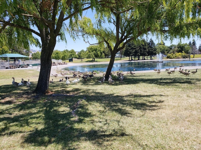 view of yard with a water view