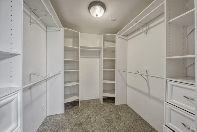 walk in closet featuring carpet floors