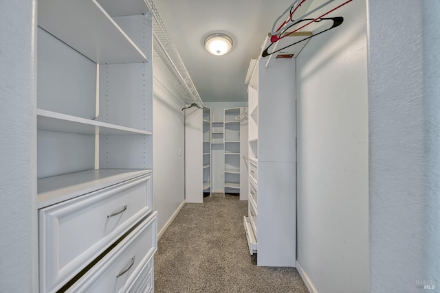 walk in closet with carpet