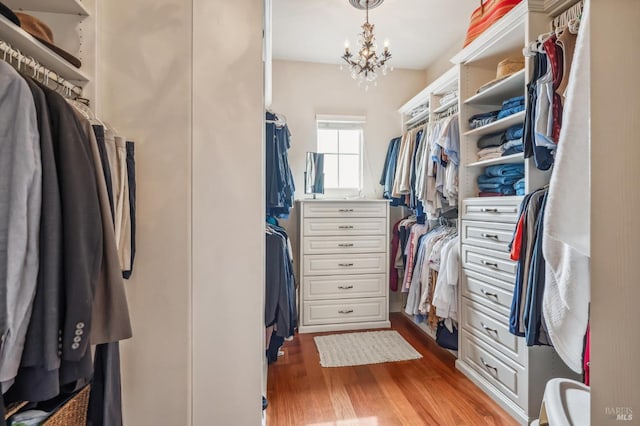 walk in closet with dark wood-style floors and an inviting chandelier