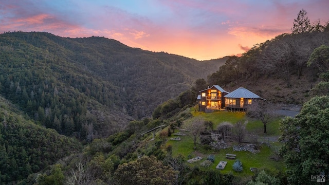 mountain view with a forest view