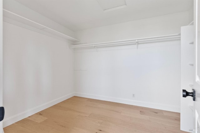 walk in closet featuring light wood-style flooring