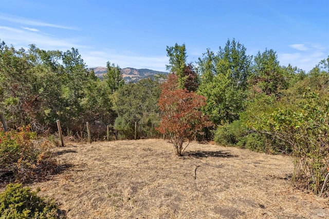 view of local wilderness with a mountain view and a view of trees