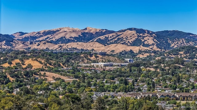 view of mountain feature