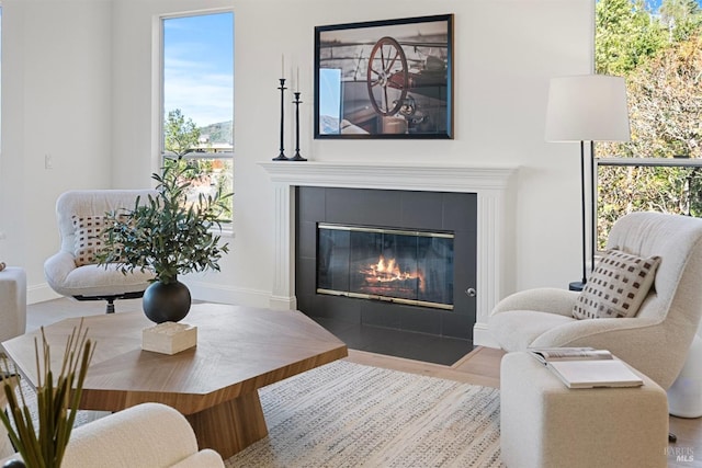 living room with baseboards, wood finished floors, and a tile fireplace