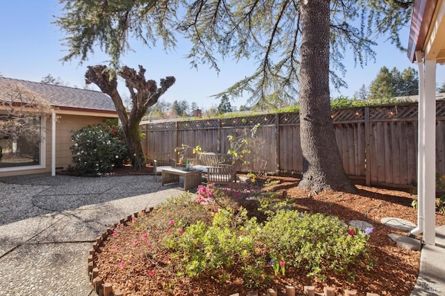 view of yard featuring a fenced backyard and a patio