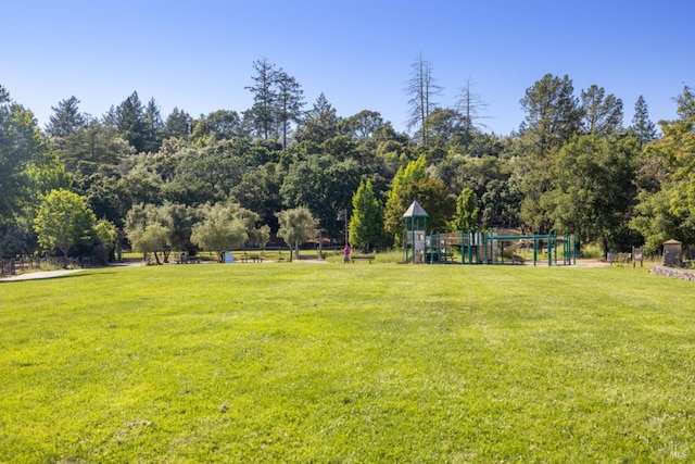 view of yard featuring playground community