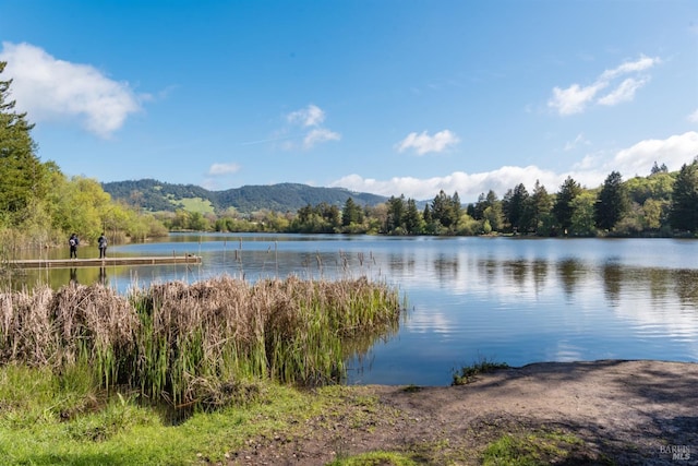 property view of water with a forest view and a mountain view