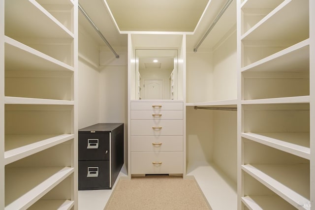 view of spacious closet