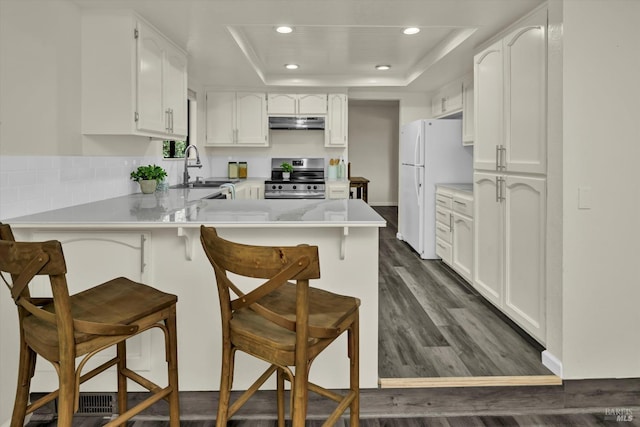 kitchen with a tray ceiling, electric range, freestanding refrigerator, under cabinet range hood, and a peninsula