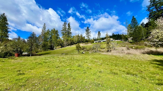 25631 Daphne Way, Willits CA, 95490 land for sale